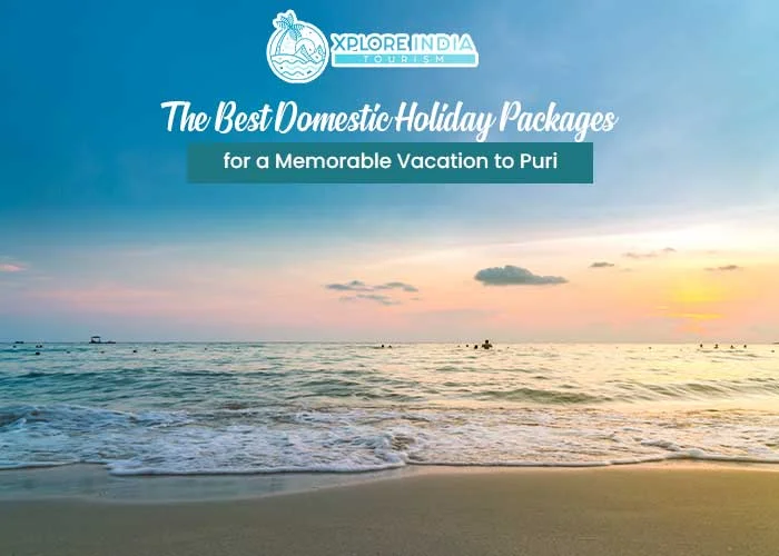 Best Domestic Holiday Packages