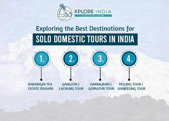 domestic tour packages