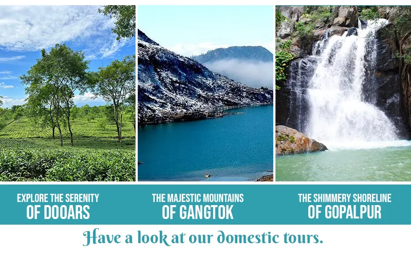 Explore the serenity of Dooars, the majestic mountains of Gangtok, or the shimmery shoreline of Gopalpur. Have a look at our domestic tours